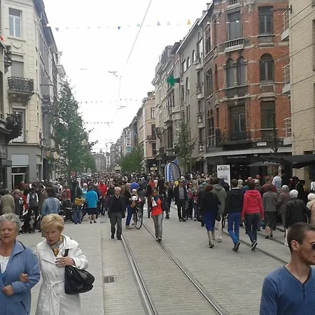 Charming National Street In The Heart Of Amberes